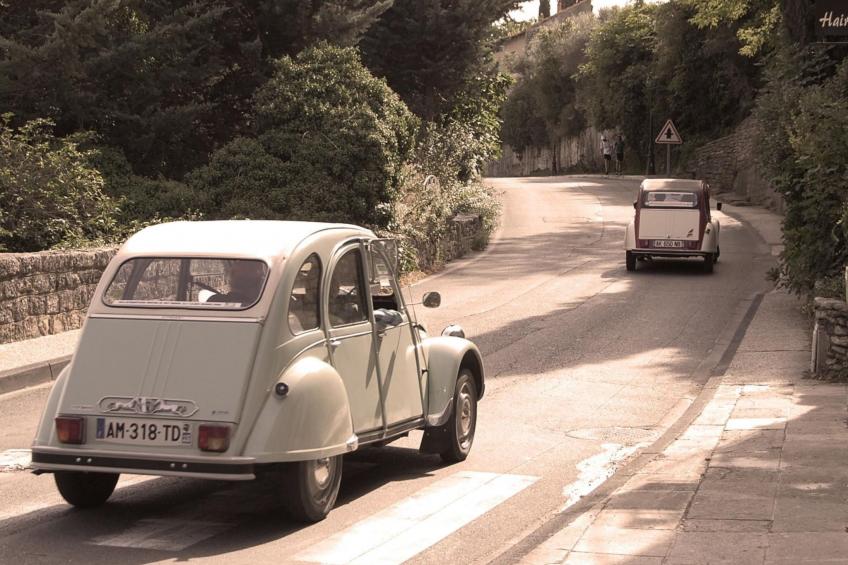 Cypres du Paradis - foto 28