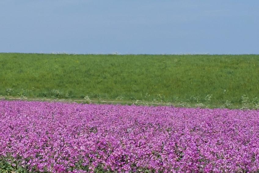 Buurtweg 75 - foto 30