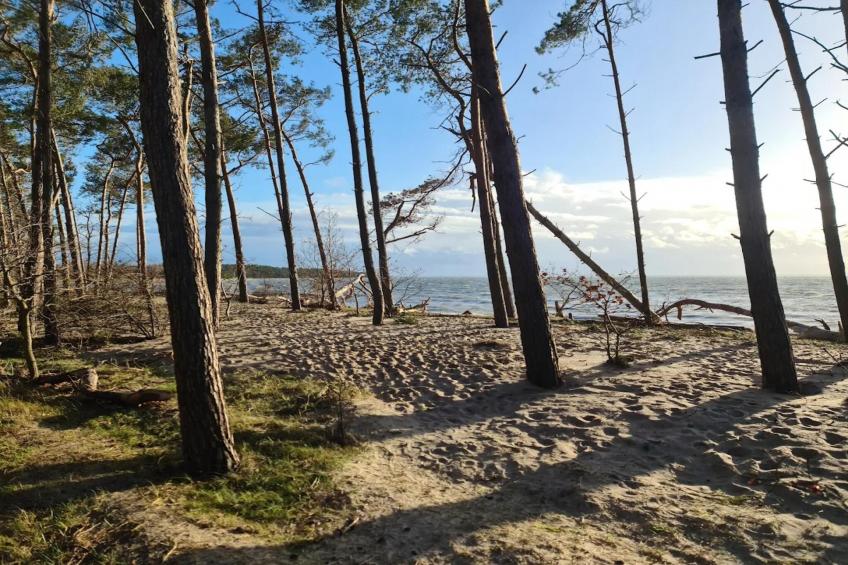 Gutshaus Zicker -Wohnung 3 - foto 33