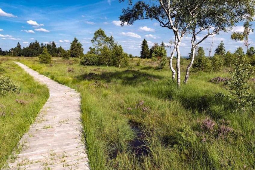 Le Chateau de Balmoral - 34 pers - foto 36