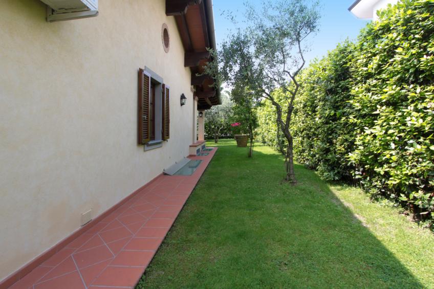 Flora - foto 27