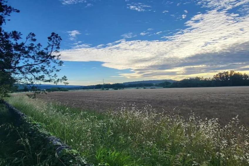 Les 4 Soleils - foto 21