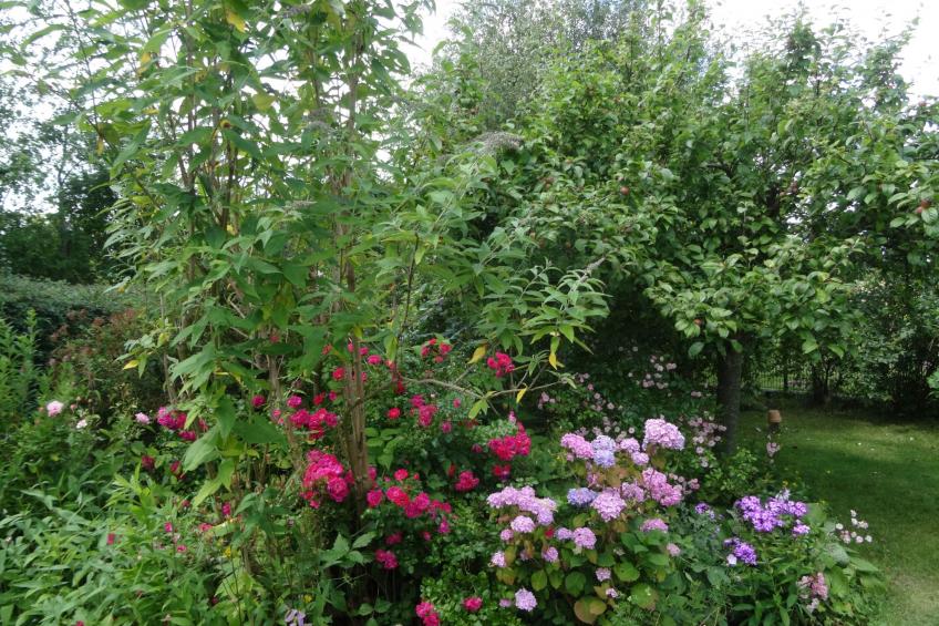 Geltinger Birk - foto 18