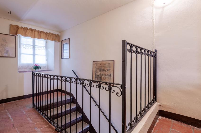 Barba Pipin - foto 12