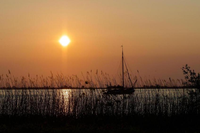 Knus chalet in Friesland - foto 35