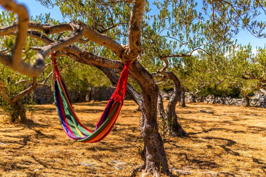 Island Getaway Heritage House - foto 44