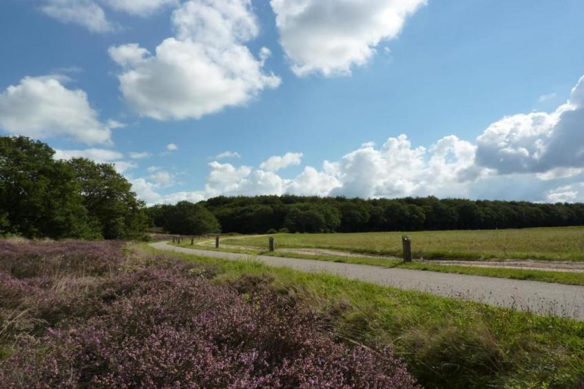 Vakantiepark Hunzedal - foto 31