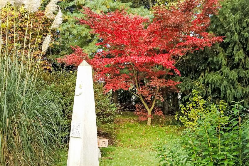 mit großem Garten in La Prée - foto 21