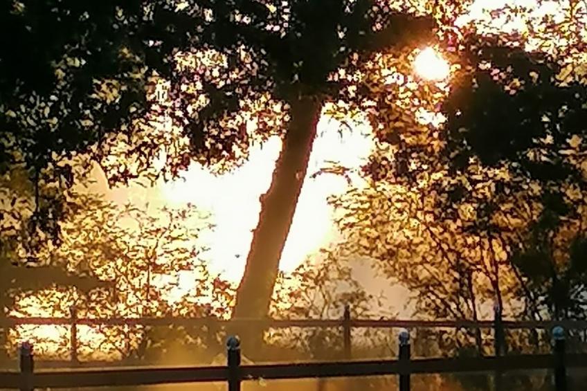 Weideblick - foto 27