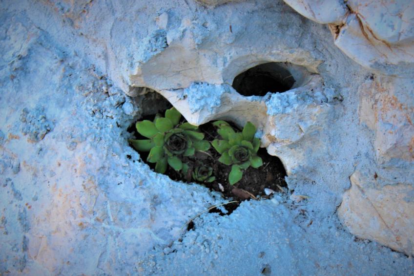 mit privatem Pool - foto 16