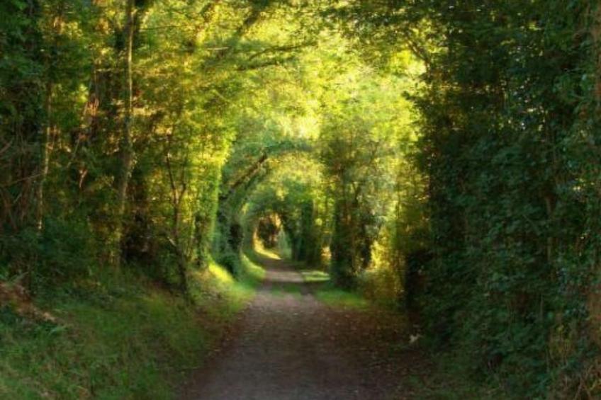 Fachwerkhaus "La Longère" Escapade Normande - foto 41