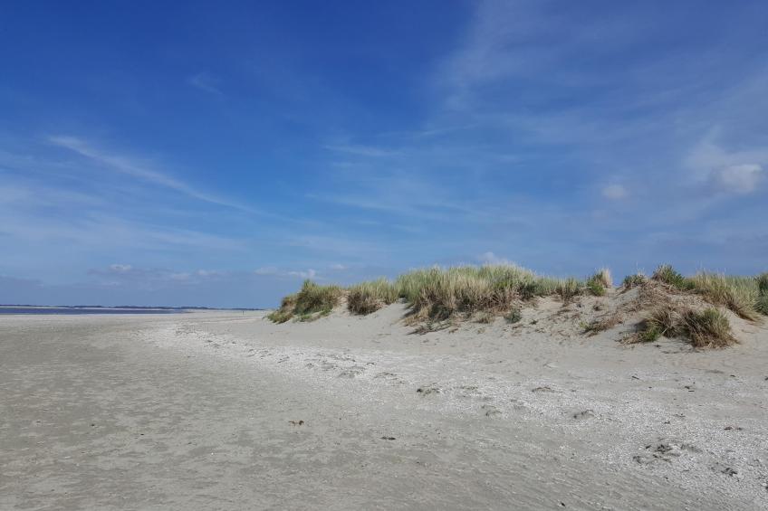 Huisje Joep - foto 5