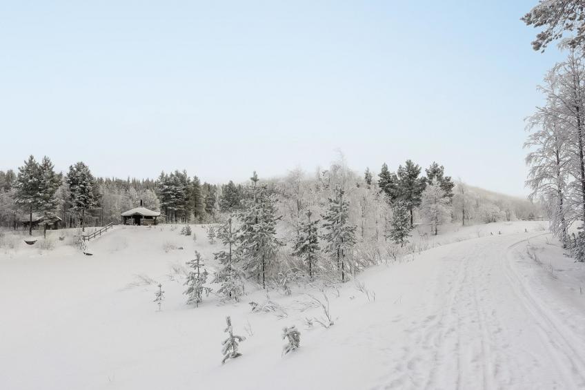 Keselmäkangas - foto 28