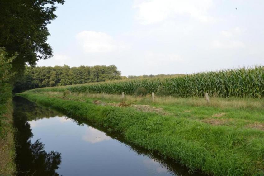 De Mattelier - foto 25