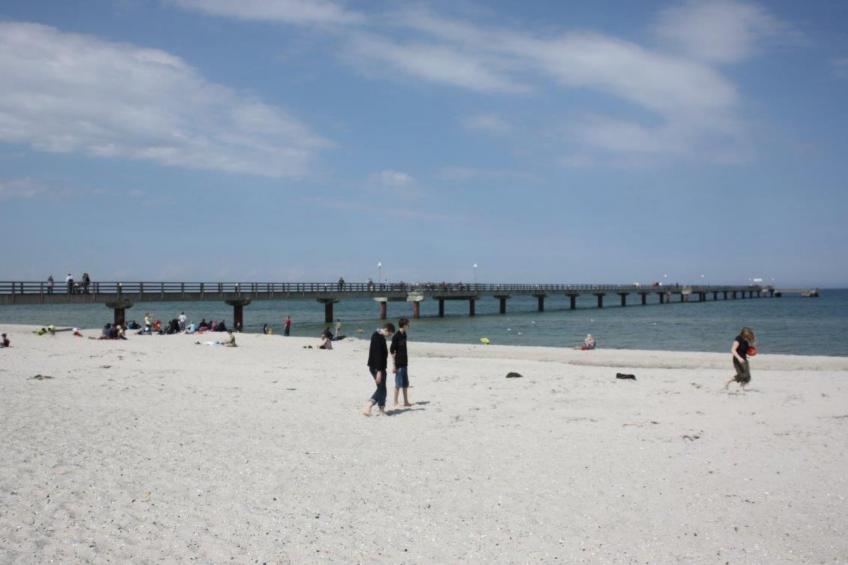 zum Schilfrohr - foto 18