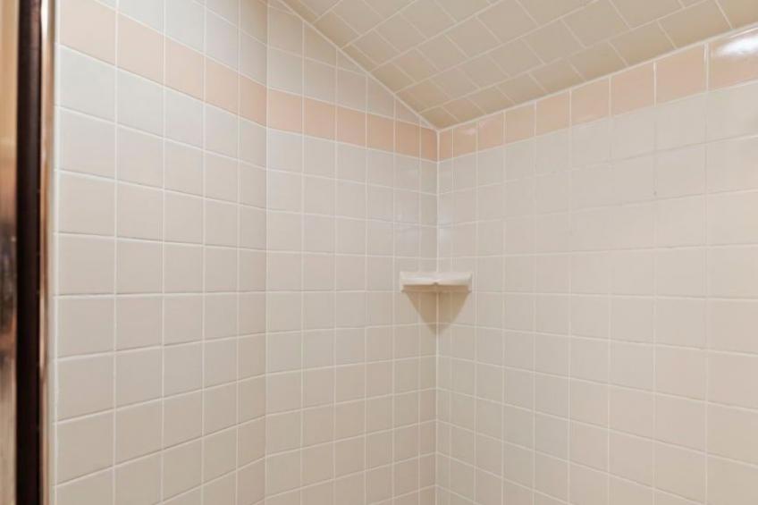 Dschungel-Themenhaus von Busch Gardens - foto 13