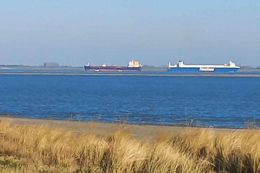 Gemütliches Chalet mit Terrasse - foto 15