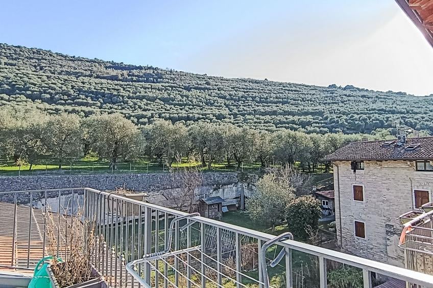 Tra gli Ulivi - foto 10