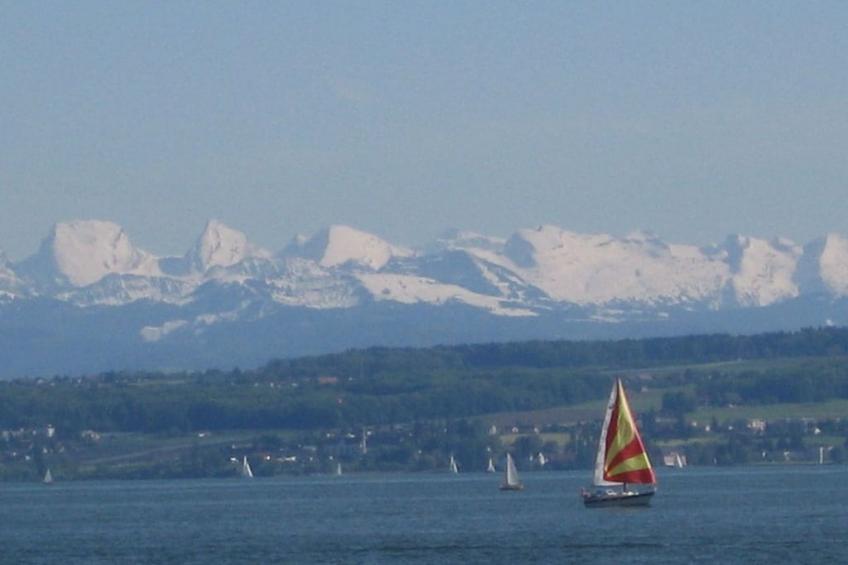 85461 - foto 17