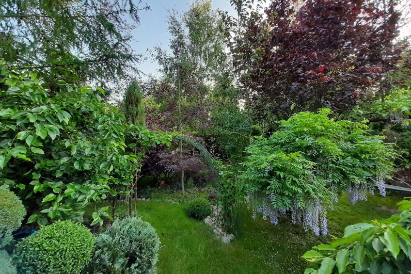 Ruhe am Meer - Ferienhäuser in den Gärten von Magra - foto 3