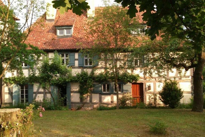 131883 - foto 2