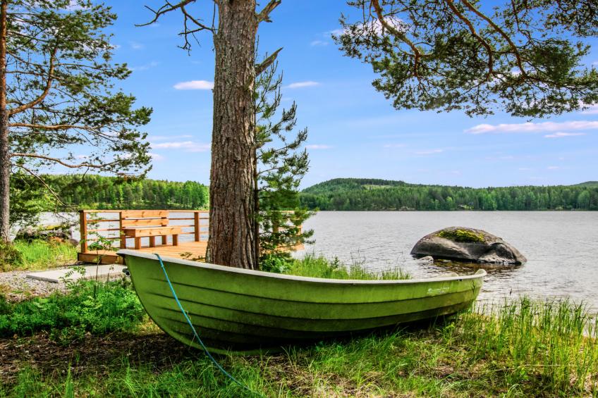 Hanhenpesä - foto 27