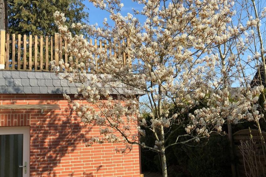 Haus am Reithmoor - foto 6