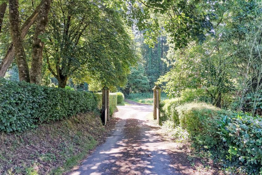 La Grulais - foto 48