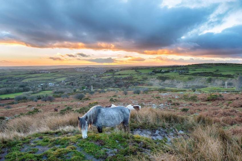 Jubilee Barn Cottage at Bodmin Moor - foto 35