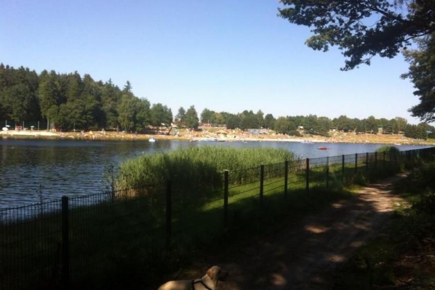 Haus Waldesrauschen - foto 21