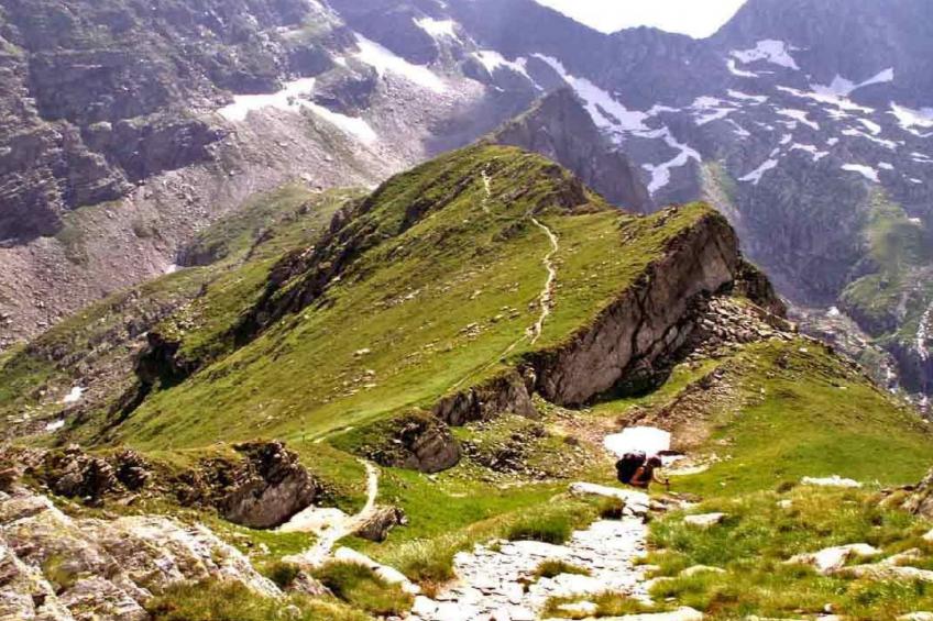 Casa Lopo - traditioneller, gemütlicher Bauernhof - foto 47