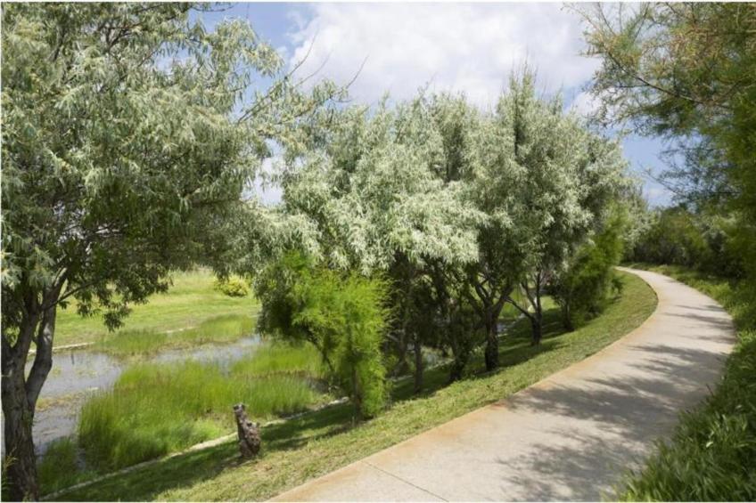 Terra Gaïa - foto 33