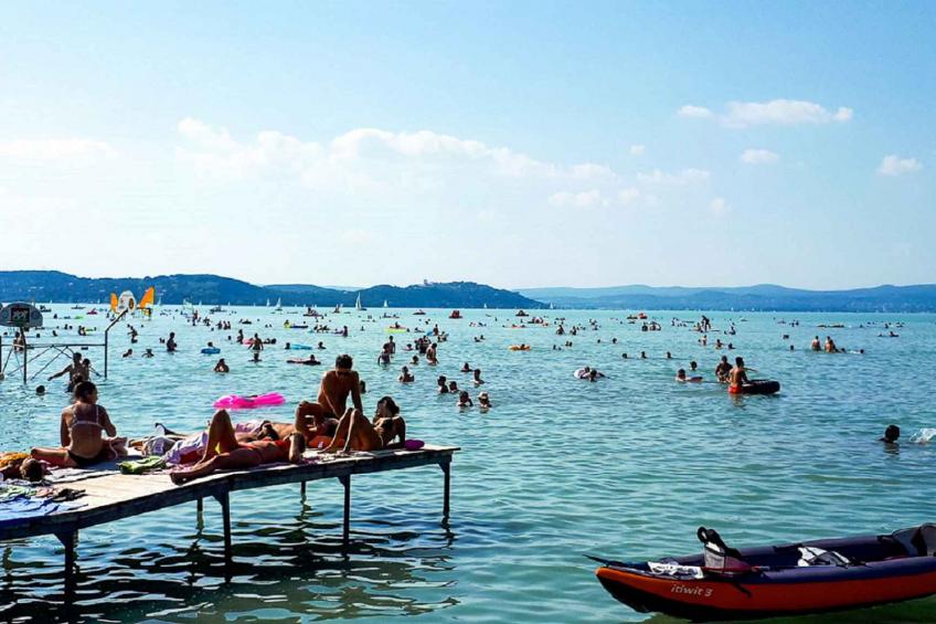 Vakantiewoning met Wifi, airconditioning en tuinpaviljoen - VW-T6TGX - foto 19