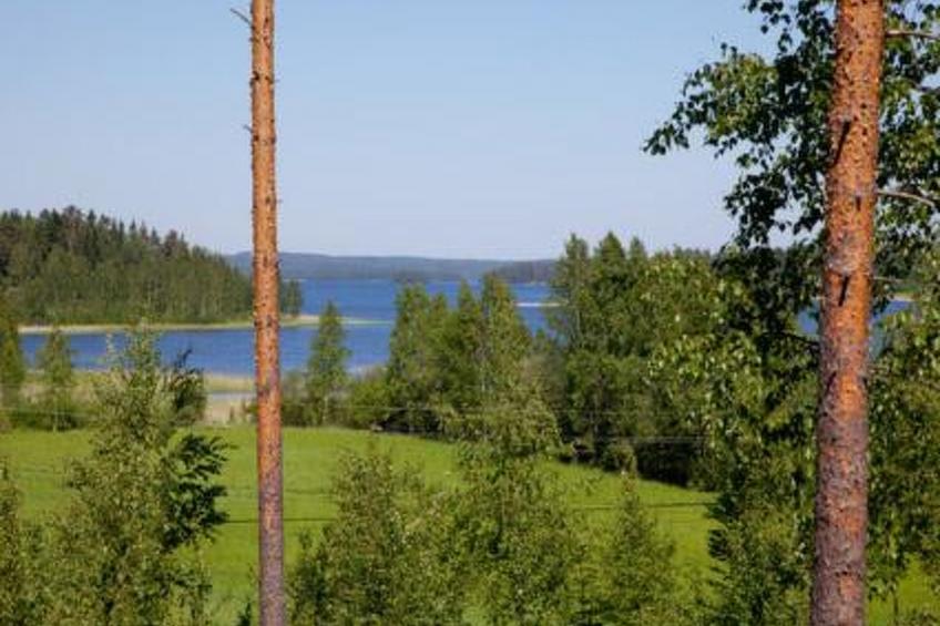 Ylähuone, pätiälän kartanon loma-asunnot - foto 7