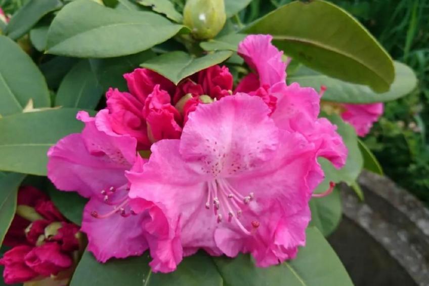 Wellness Oase - foto 26