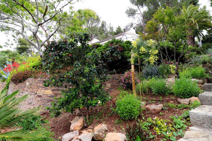 Wohnung "Mesomax RDC" in Strandnähe mit Meerblick - foto 63