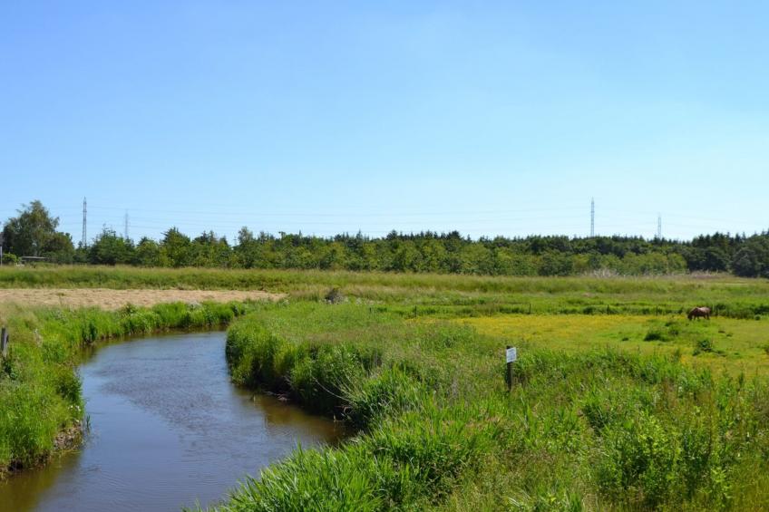 "Gunhild" - 22km from the sea in Western Jutland - foto 11