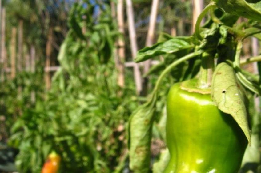 "The Recycle Art" mit Terrasse - foto 24