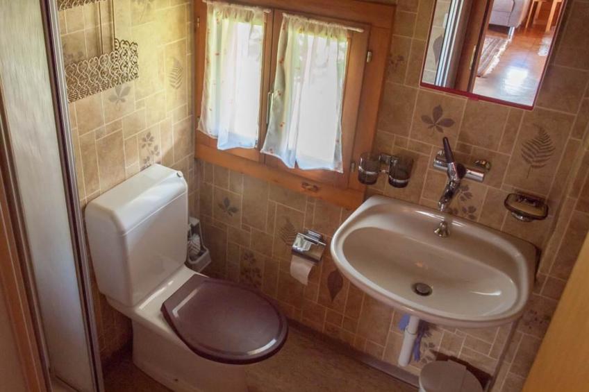Chalet Alphütte Appartement/Fewo, Dusche, WC 4-Bettwohnung Dachgeschoss - foto 28