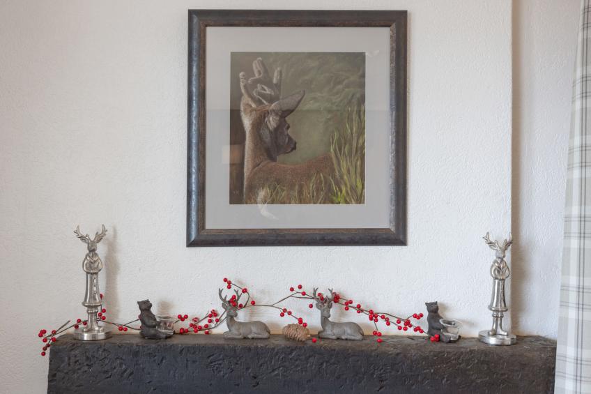 Cransalpin - foto 10