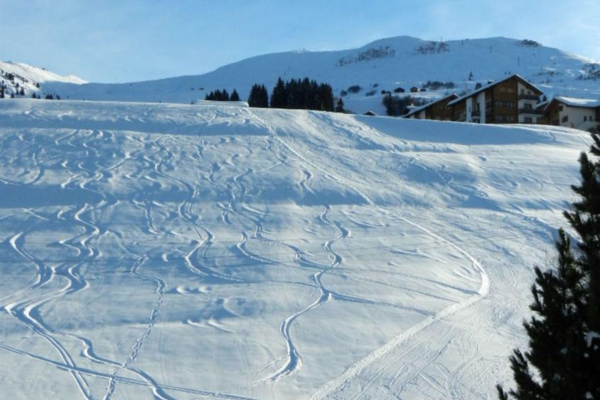 Schweizer, Obersaxen-Affeier, (Obersaxen), 34006B - foto 15