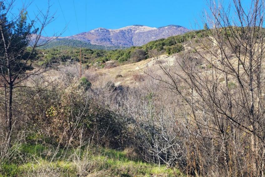 Villa Domatia - foto 30