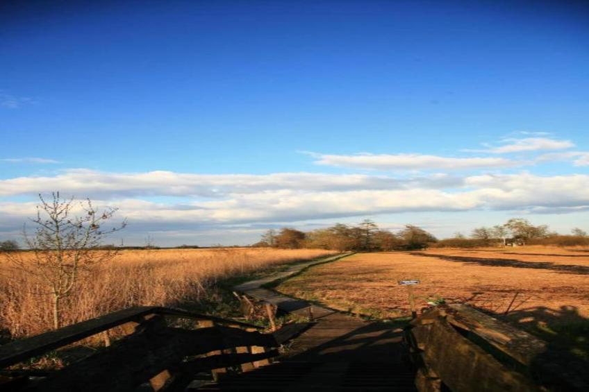 Chalet Resort Venetie Giethoorn - foto 32