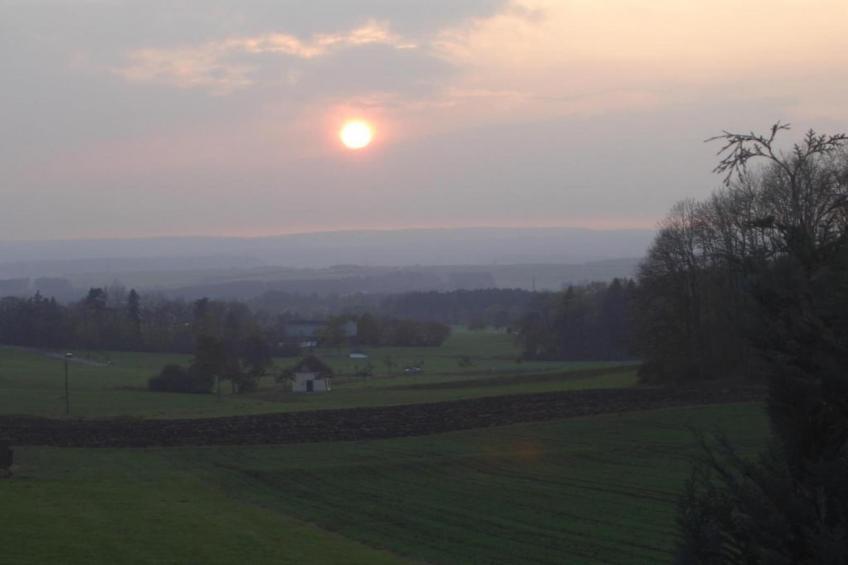 Park Blick - foto 30