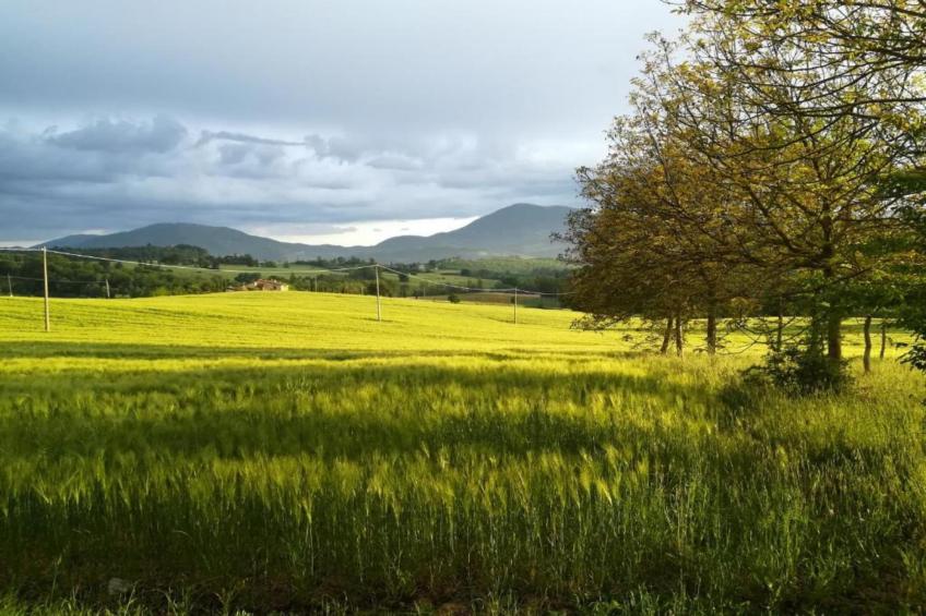 Villa Monte Acuto - foto 37