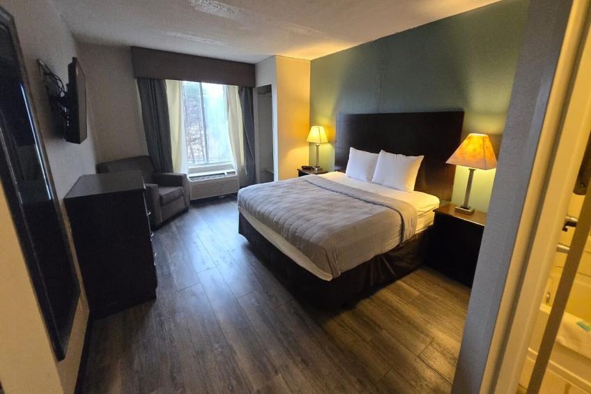 Suite - King Bed