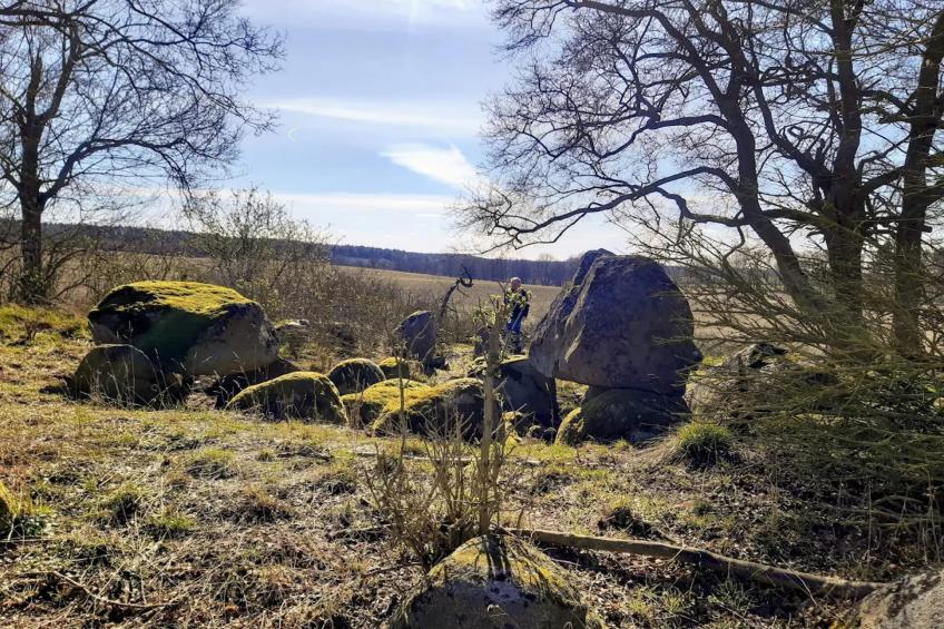 Ferienwohnung Weitblick - foto 23
