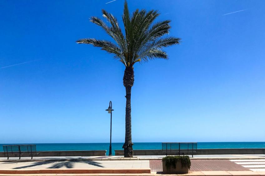 Rivera Wohnung mit Meerblick - foto 5