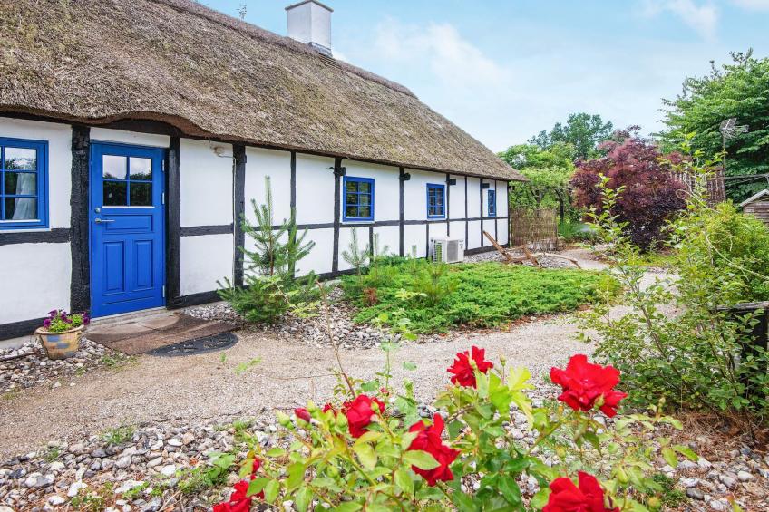 BF-B2F2F - foto 3