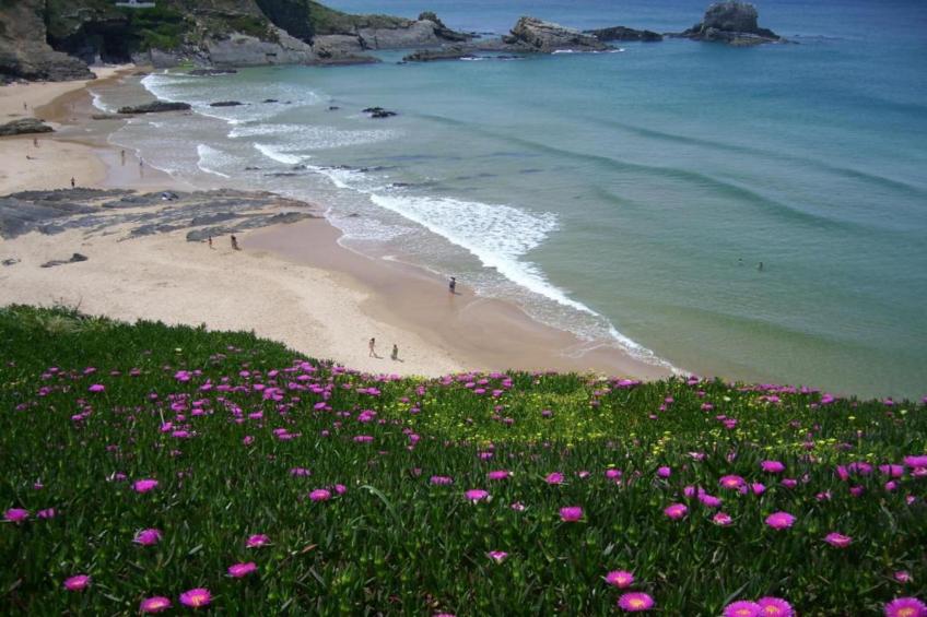 Casa do Pomar - foto 32